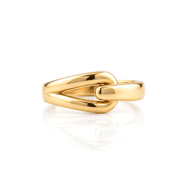 Fine Rings