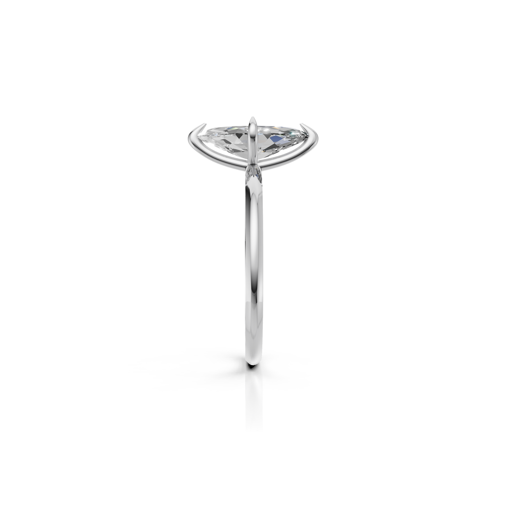 Elsa