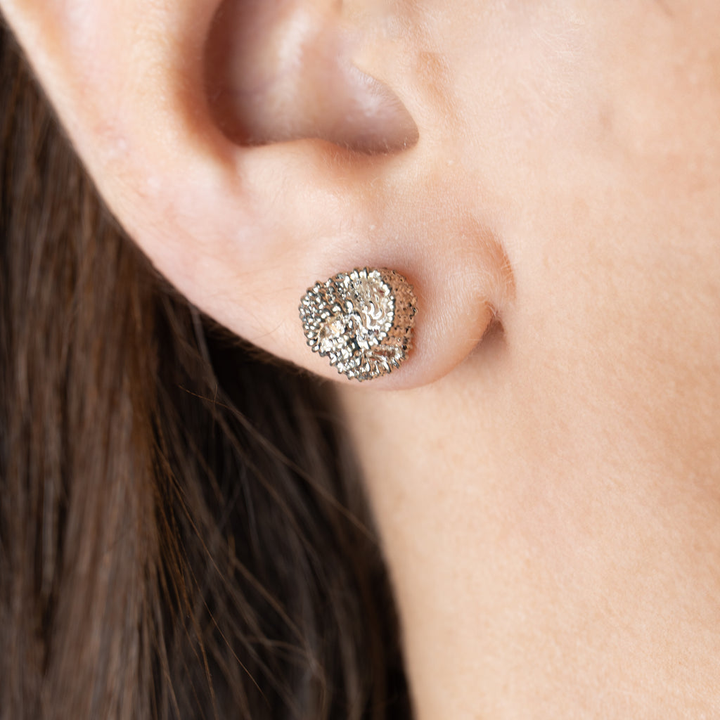 Knot Studs
