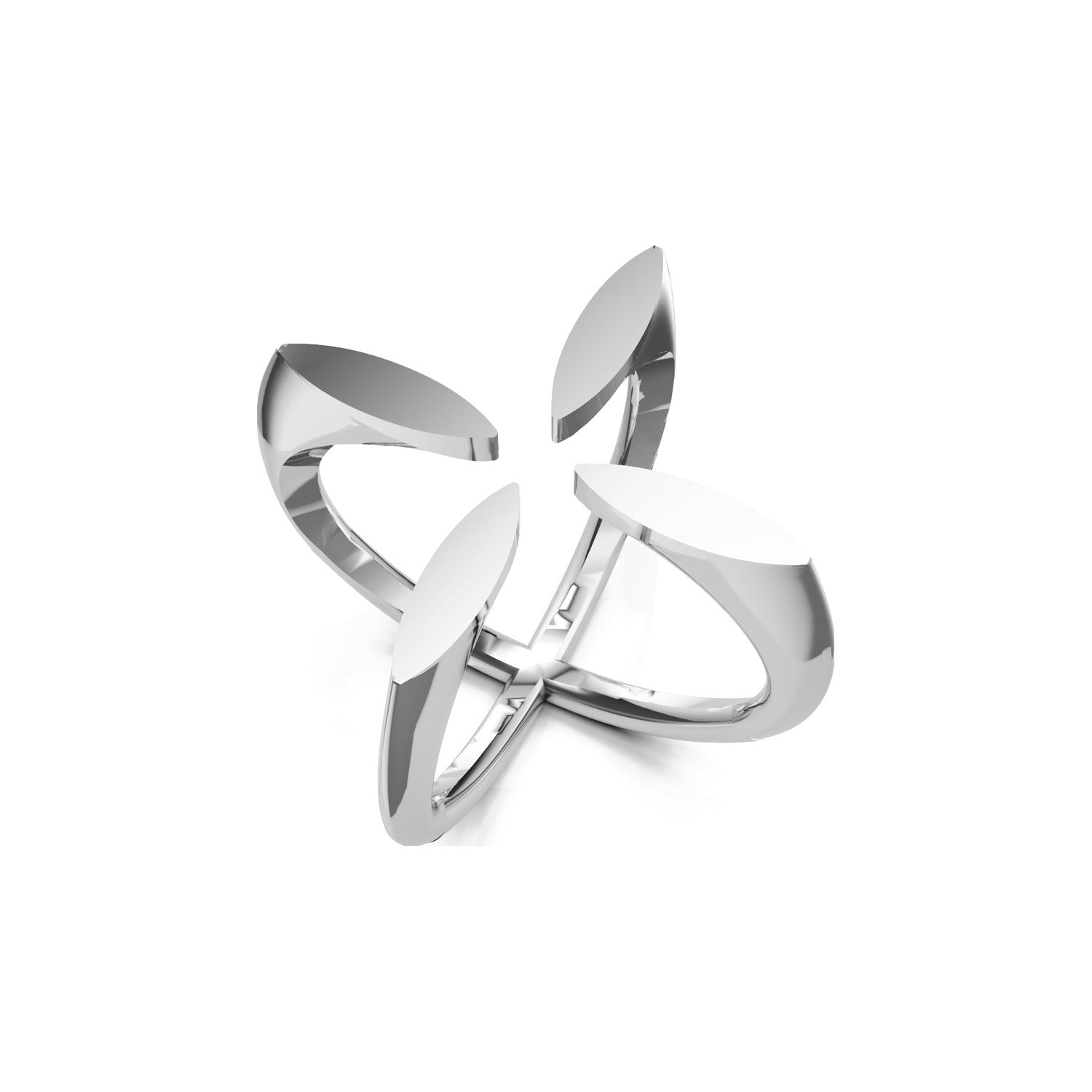 The 'X' Ring